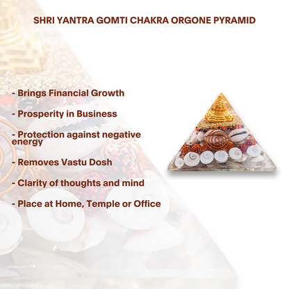 Shree Dhan Laxmi Pyramid | Gomti Yantra | (Attracts Wealth)